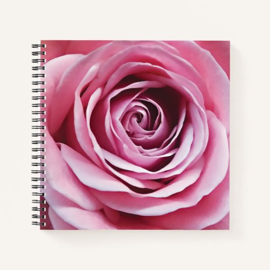 Carnet Belle aquarelle rose rose rose fleur (Devant)