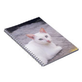 Carnet Belle Chat Blanc (Côté Droit)