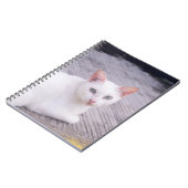 Carnet Belle Chat Blanc (Côté gauche)