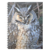 Carnet Belle Chouette à longue Terre au coucher du soleil (Devant)