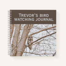 Belle Chouette rouge Audubon Birding