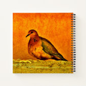 Carnet Belle colombe (Dos)