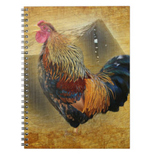 Carnet Belle coop de poulet rôti et de grange rustique