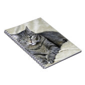 Carnet Belle couture de chat (Côté Droit)