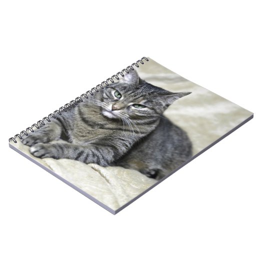 Carnet Belle couture de chat (Côté gauche)