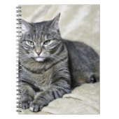 Carnet Belle couture de chat (Devant)