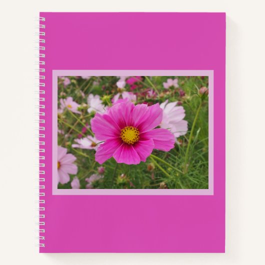 Carnet Belle Fleur Cosmos Rose (Devant)