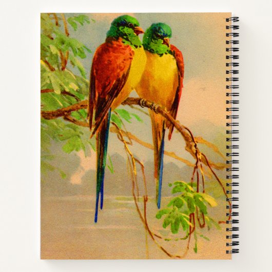 Carnet belle impression d'oiseaux (Dos)