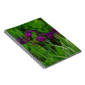 Carnet Belle Iris Violet (Côté Droit)