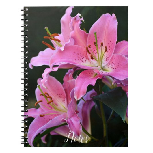 Carnet Belle Lys Rose Fleurit (Devant)