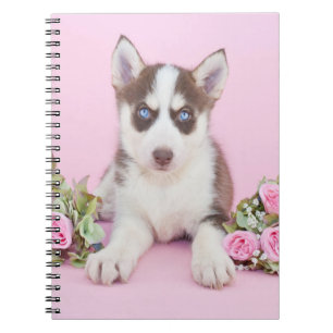 Carnet Belle marionnette Husky aux roses roses roses