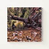 Carnet Belle matinée de printemps.... (Dos)