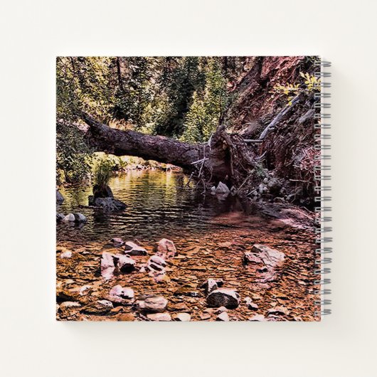 Carnet Belle matinée de printemps.... (Dos)