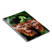 Carnet Belle Moth Atlas (Côté Droit)