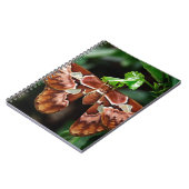 Carnet Belle Moth Atlas (Côté gauche)