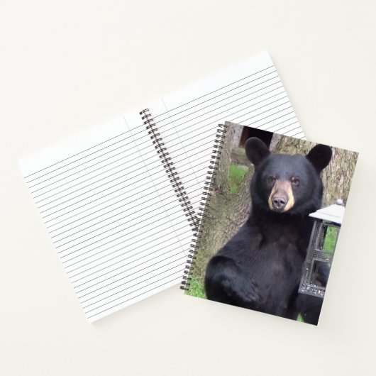 Carnet Belle Ours Noir (Intérieur)