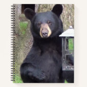 Carnet Belle Ours Noir (Devant)
