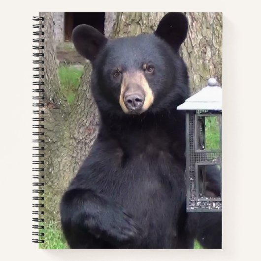 Carnet Belle Ours Noir (Devant)