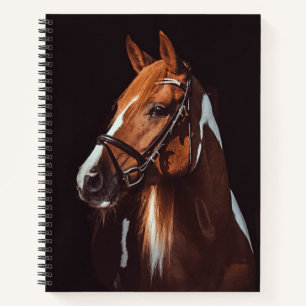 Carnet Belle peinture Brown Cheval Portrait Photo