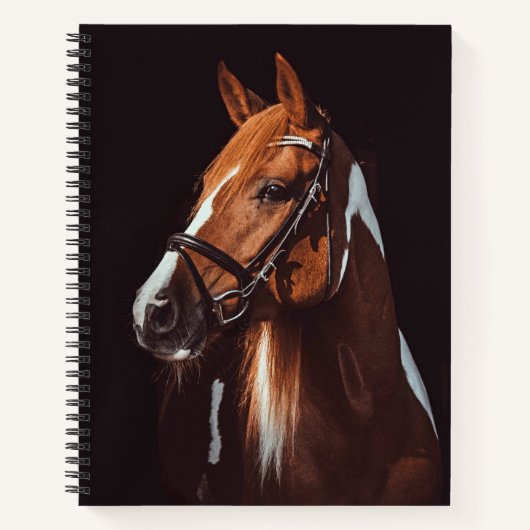 Carnet Belle peinture Brown Cheval Portrait Photo (Devant)