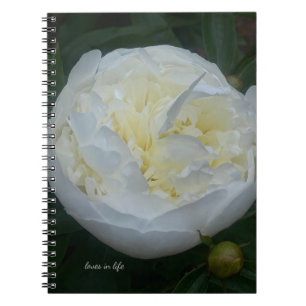 Carnet Belle Peony Blanc