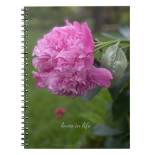 Carnet Belle Peony Rose Plein