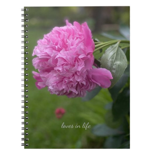 Carnet Belle Peony Rose Plein (Devant)