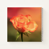 Carnet Belle photo de Rose romantique (Dos)