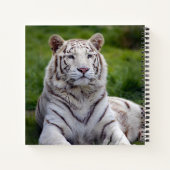 Carnet Belle photo de tigre blanc (Dos)