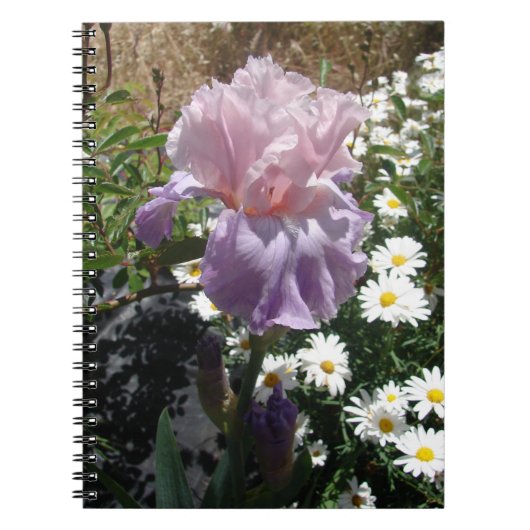 Carnet Belle photo florale de fleur d'iris violet (Devant)