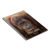 Carnet Belle photographie de Borneo Orangutan (Côté Droit)
