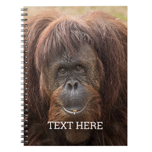 Carnet Belle photographie de Borneo Orangutan (Devant)