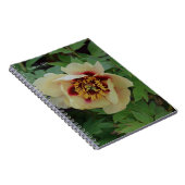 Carnet Belle Pierre Jaune À La Crème (Côté Droit)