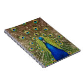 Carnet Belle plumes de paon et de queue (Côté Droit)