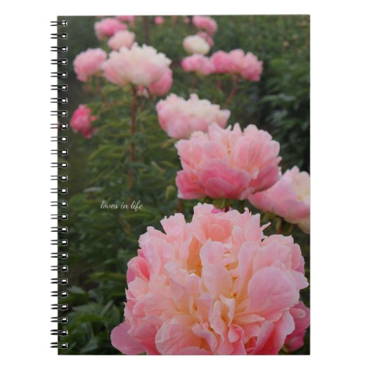 Carnet Belle rangée de pivoines roses (Devant)