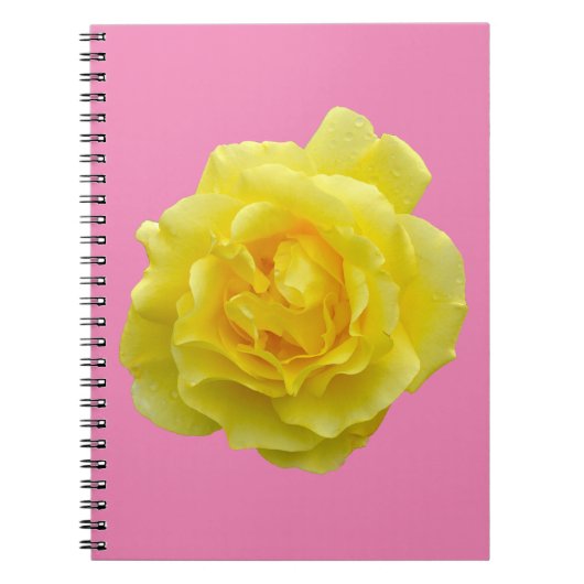 Carnet Belle rose jaune (Devant)