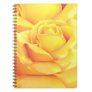 Carnet Belle Rose Jaune