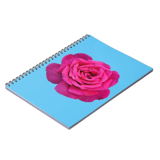 Carnet Belle rose rose (Côté gauche)