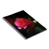 Carnet Belle Rose Rouge (Côté Droit)