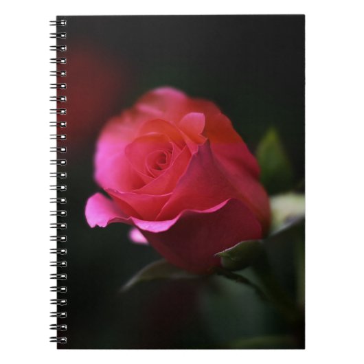 Carnet Belle Rose Rouge (Devant)