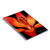 Carnet Belle Rouge Orange Asiatique Lily Gran Paradiso (Côté Droit)