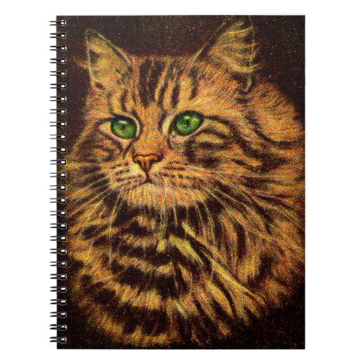 Carnet belle tabby à cheveux longs (Devant)