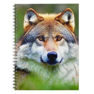 Carnet Belle tête de loup Peinture