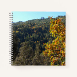 Carnet Belles couleurs automne.....