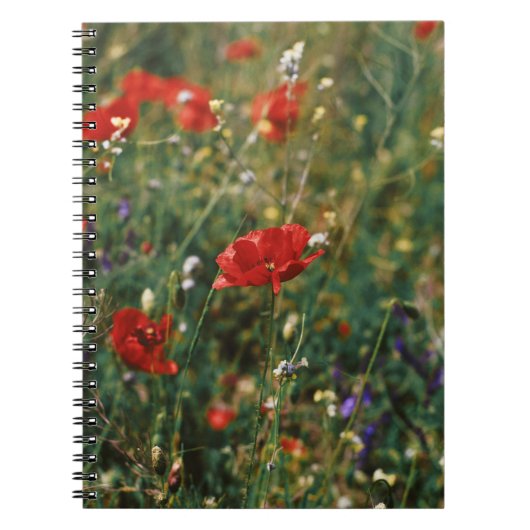 CARNET BELLES FLEURS (Devant)