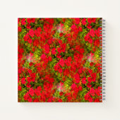 Carnet Belles Fleurs..... (Dos)