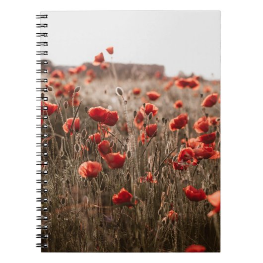 Carnet belles fleurs de coquelicot (Devant)