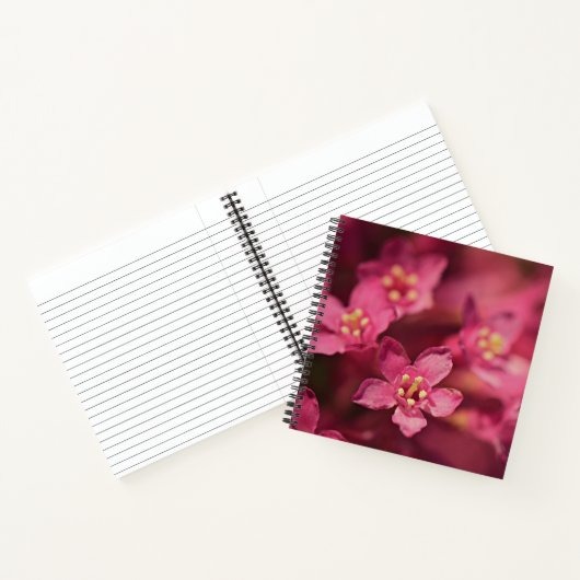 Carnet Belles Fleurs Roses (Intérieur)