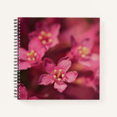Carnet Belles Fleurs Roses (Devant)