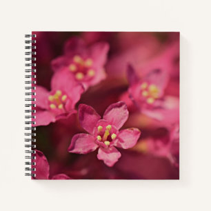 Carnet Belles Fleurs Roses